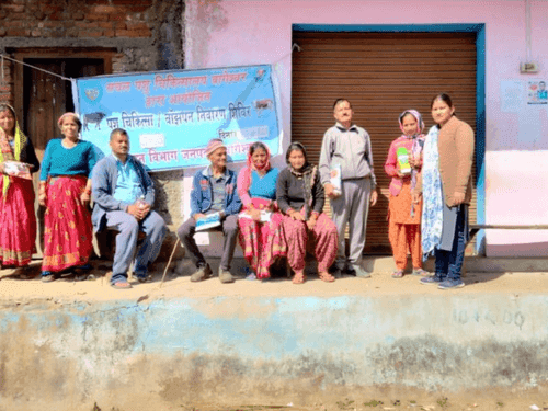 Mobile veterinary camp was organized in Kulau village