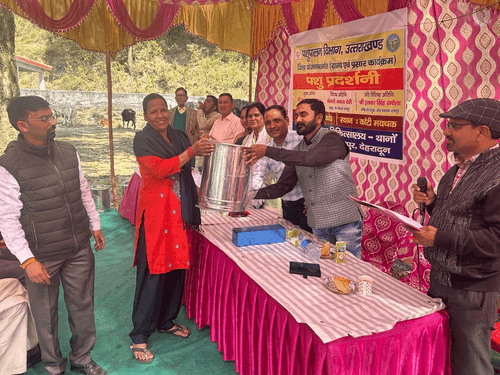 Animal exhibition was organized in village Koti Maychak