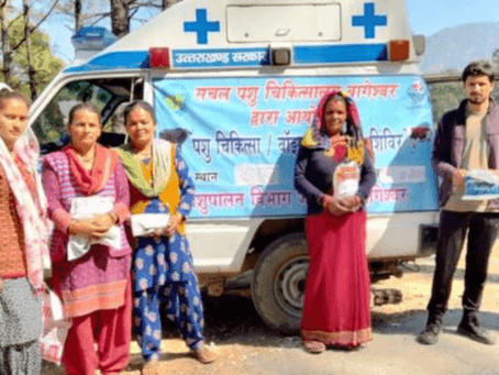 Mobile veterinary camp was organized in village Jaulgaon