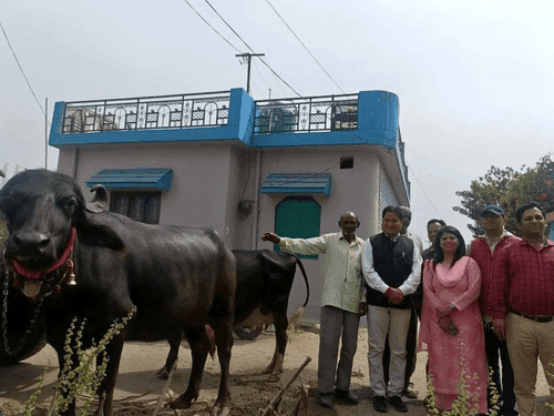 Animal exhibition was organized in village Jhadound