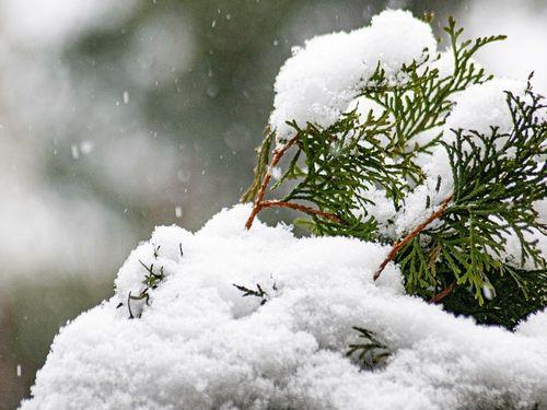 Meteorological Department's prediction proved correct
