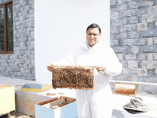 Honey processing work done in CM housing complex