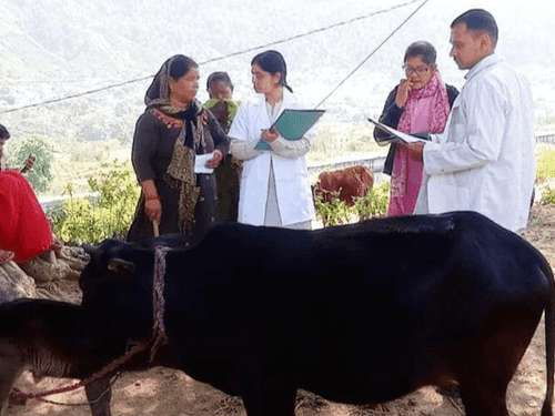 Animal exhibition was organized in village Surasu