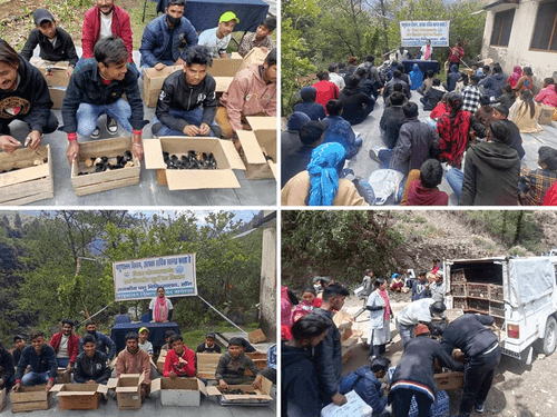 One day backyard poultry distributed for livelihood enhancement