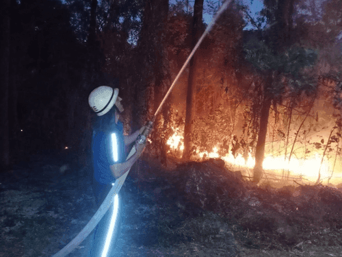 The fire unit got control over the fire in the forest
