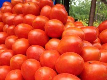 If you consume tomatoes excessively then be alert