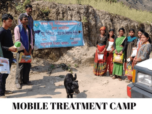 Mobile veterinary camp was organized in village Salikhet