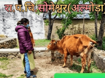 Animal treatment done in the villages under Someshwar