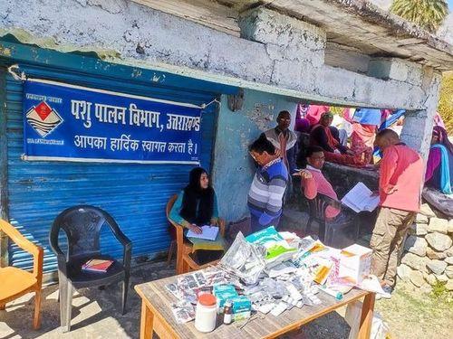 Mobile Veterinary Camp organized by Animal Husbandry Department Chamoli through Mobile Veterinary Hospital Gopeshwar