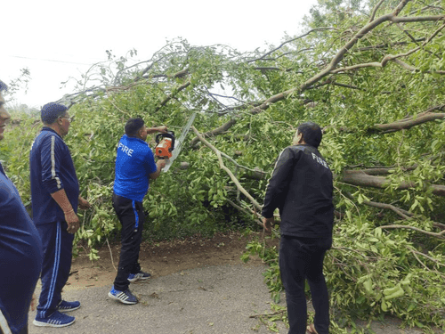 Traffic disrupted due to falling of trees on the road due to storm was made smooth