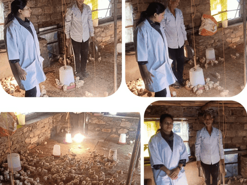 Veterinary and awareness camp was organized in village Uprikot and Bharangaon