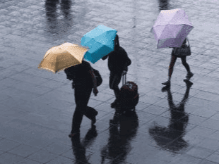 Holiday declared in schools due to heavy rains in this district