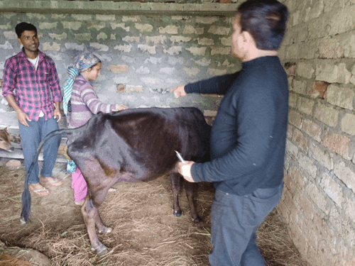 Veterinary camps were organized in remote areas