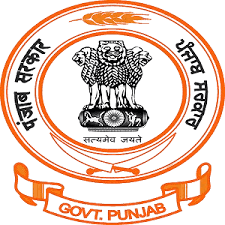 Punjab Revenue Department Recruitment 2026 job opportunity
