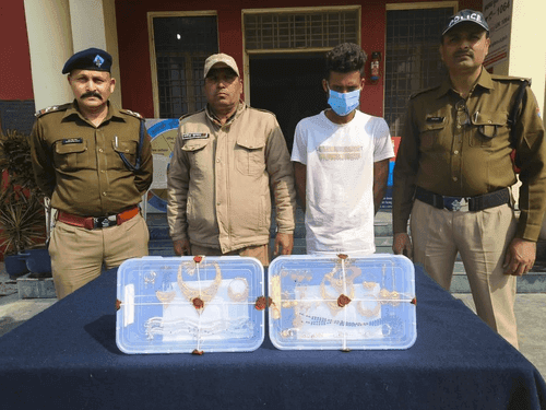Dehradun Police arrested the accused with stolen jewelery worth Rs 7 lakh