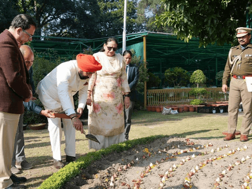 Governor Gurmit Singh planted tulip bulbs at Raj Bhavan