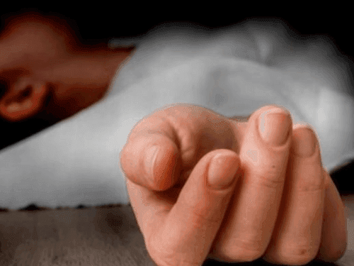 Woman hit by speeding car, dies painfully