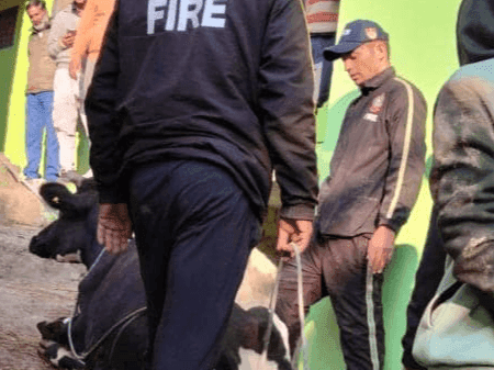 Pithoragarh Police safely rescues cow stuck in the street