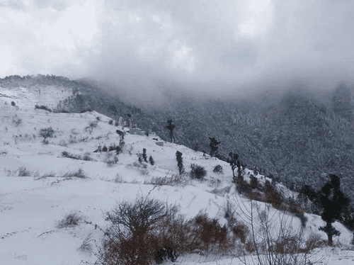 Chances of rain and snowfall on the occasion of New Year