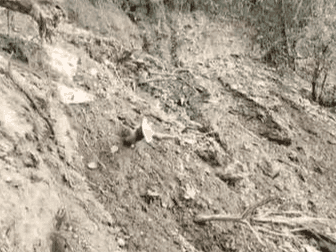 Landslide occurred during hill cutting