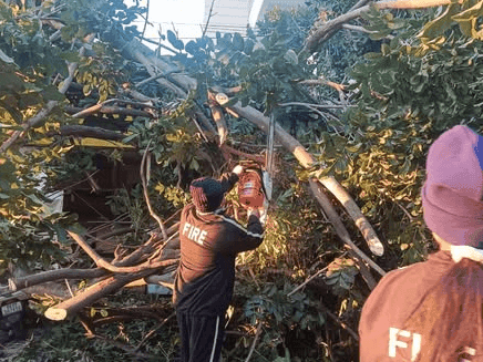 Fire Service Dehradun cleared the traffic by removing the tree fallen on the road