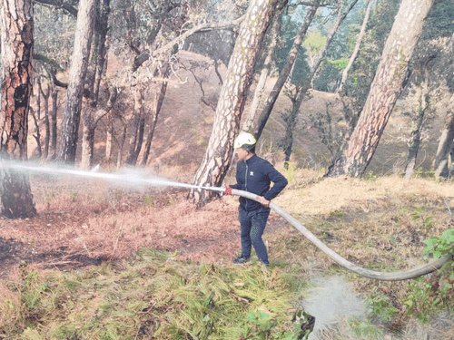 Forest fire extinguished by Fire Service Almora
