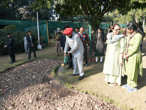 Delicate flower tulip bulbs were planted in the Raj Bhavan campus
