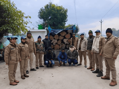 Accused arrested for illegally transporting teak logs