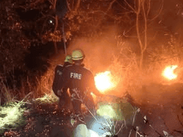 Forest fire broke out, no casualties