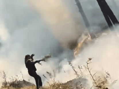 Fire Service District Pithoragarh brought the forest fire under control