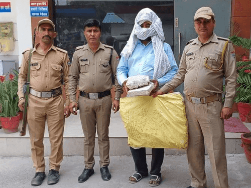 Accused arrested for illegal opium cultivation