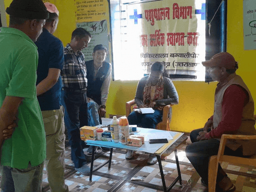 Veterinary camp was organized in village Kuwali