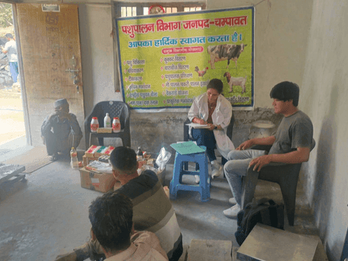 Veterinary awareness camp was organized in village Budhakhet