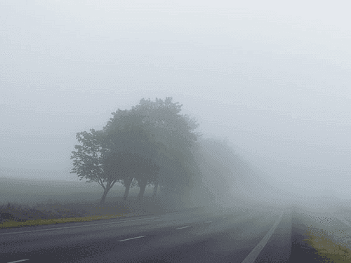 Fog in Uttarakhand’s plains, frost in the hills, yellow alert issued