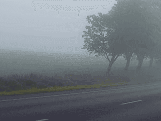 Uttarakhand issues dense fog alert, dry weather likely for the next few days