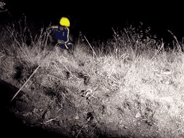 Vehicle fell into ditch, rescue done by SDRF team