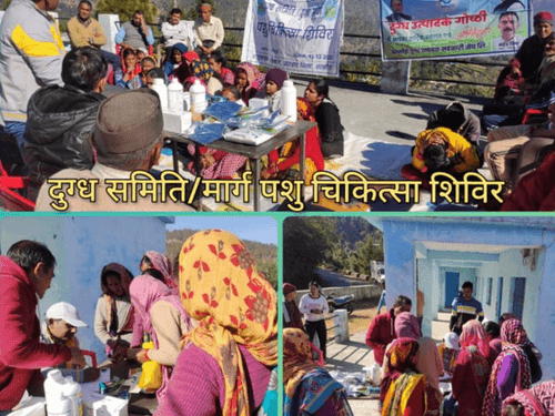 Veterinary camp was organized in Dudholi village