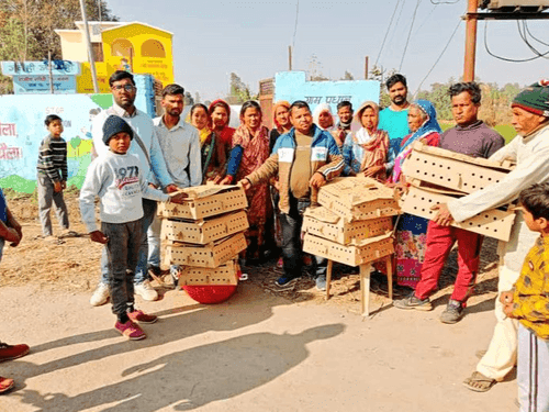 3000 crawler birds were distributed to increase livelihood