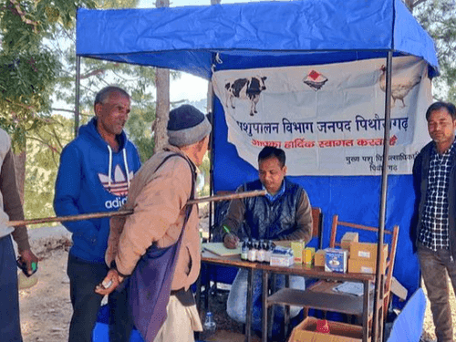 Multipurpose camp organized in Chahaj