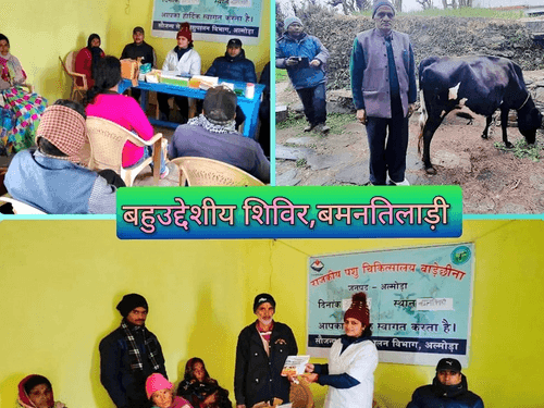 Multipurpose camp was organized in village-Bamantiladi