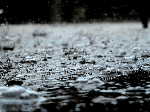 Meteorological Department issued forecast regarding the weather