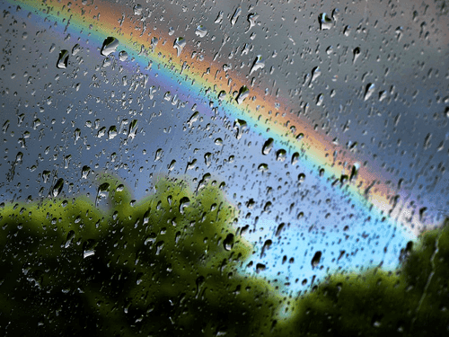 Meteorological Department issued forecast regarding rain