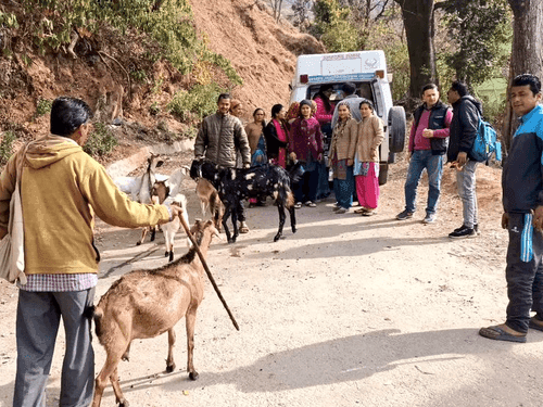 Veterinary camp was organized in village Dunga and Digtoli