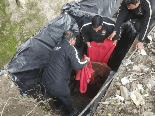 Fire Service Unit rescues cow's calf