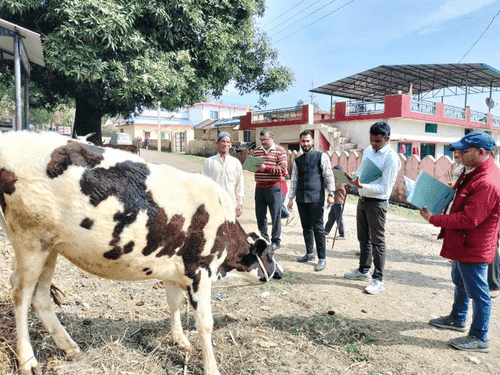 Animal exhibition was organized in Dudhai village