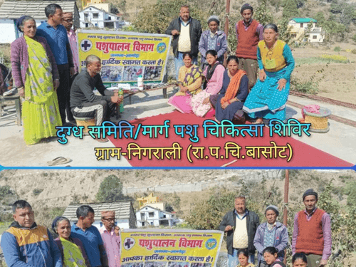 Veterinary camp was organized in village-Nigrali