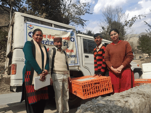 One month's croiler distributed to promote self-employment