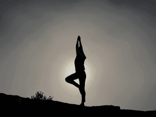 International Yoga Festival is about to start