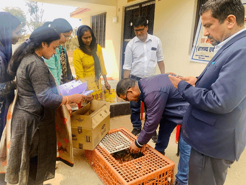 One month old chickens were distributed for livelihood
