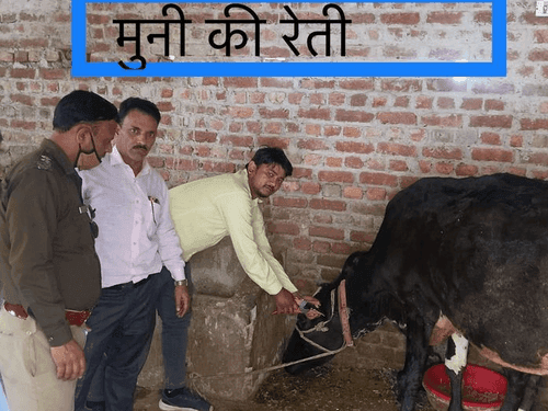 Tagging done in animals in district Tehri Garhwal